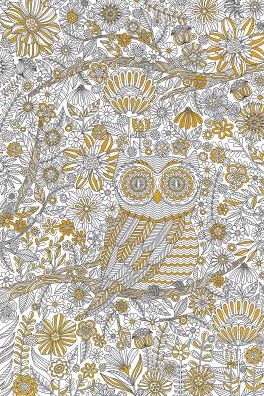 Adult Coloring Poster: Owl Town
