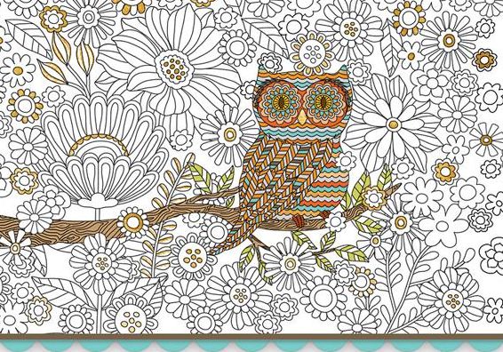 Owl Boxed Note Cards