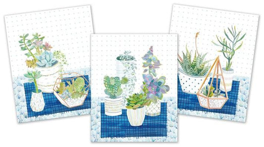 Succulents Art Prints (Ready to Frame. Set of 3 Prints.)