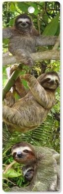 3D Bookmark - Sloths