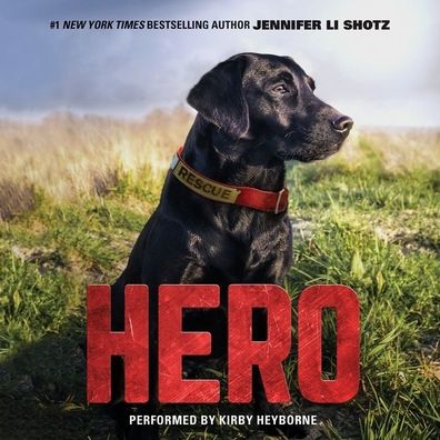Hero (Hero Series #1)