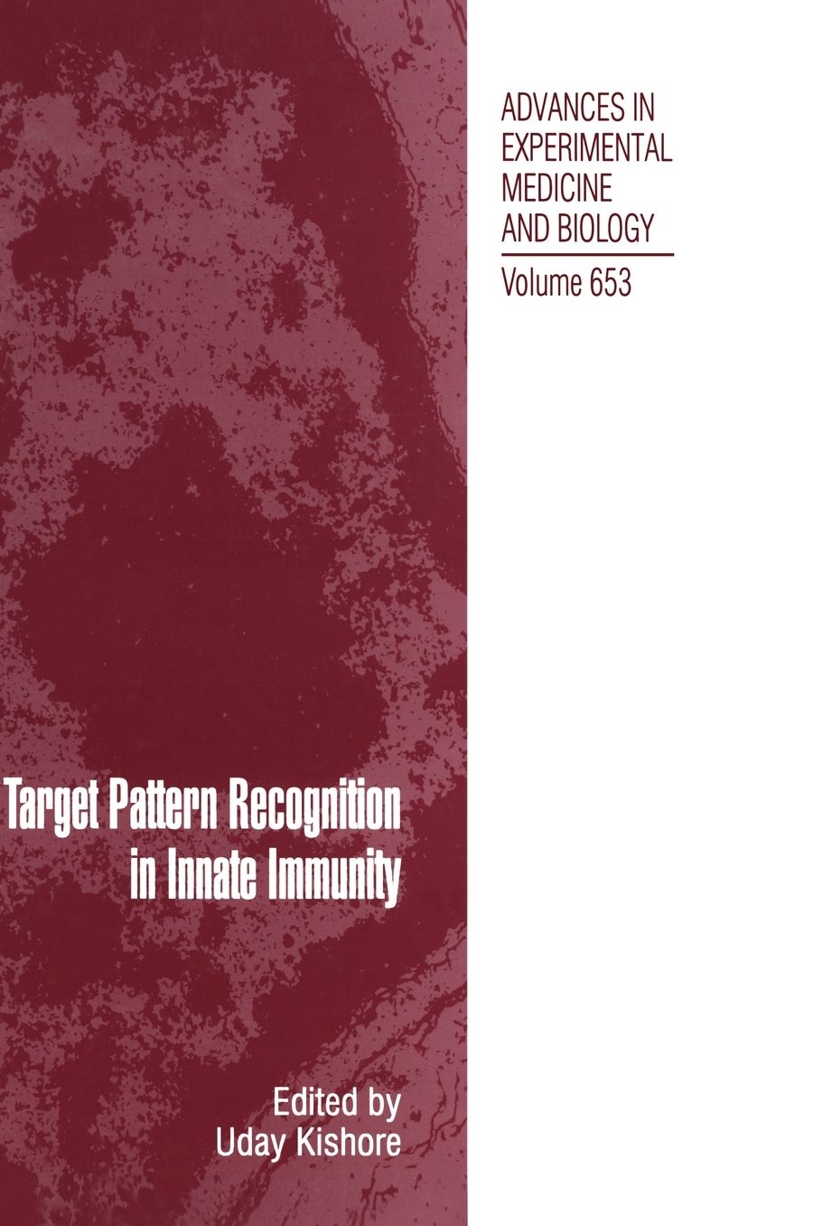 Target Pattern Recognition in Innate Immunity