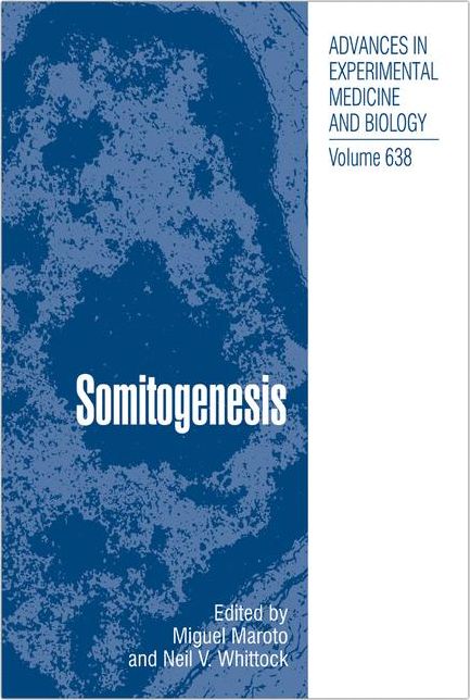 Somitogenesis