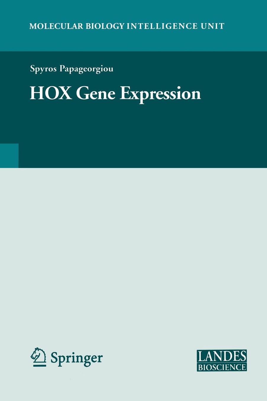 HOX Gene Expression