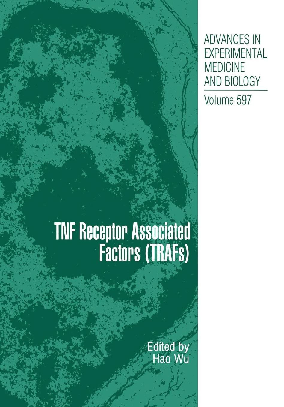 TNF Receptor Associated Factors (TRAFs)