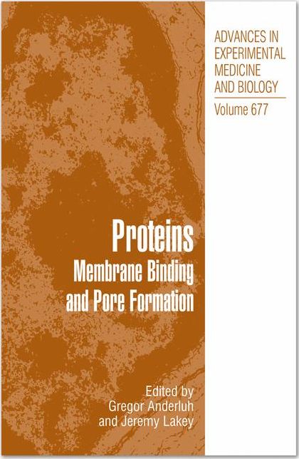 Proteins: Membrane Binding and Pore Formation