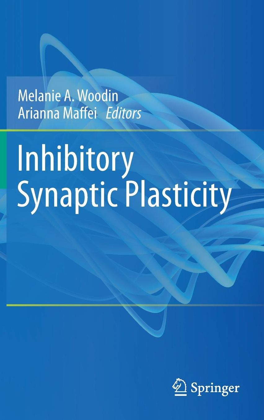 Inhibitory Synaptic Plasticity