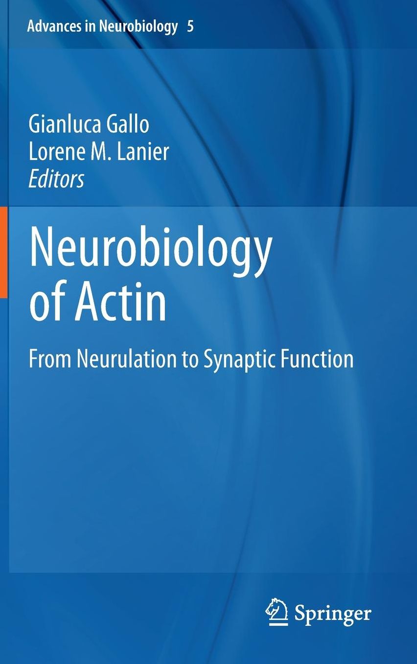 Neurobiology of Actin: From Neurulation to Synaptic Function
