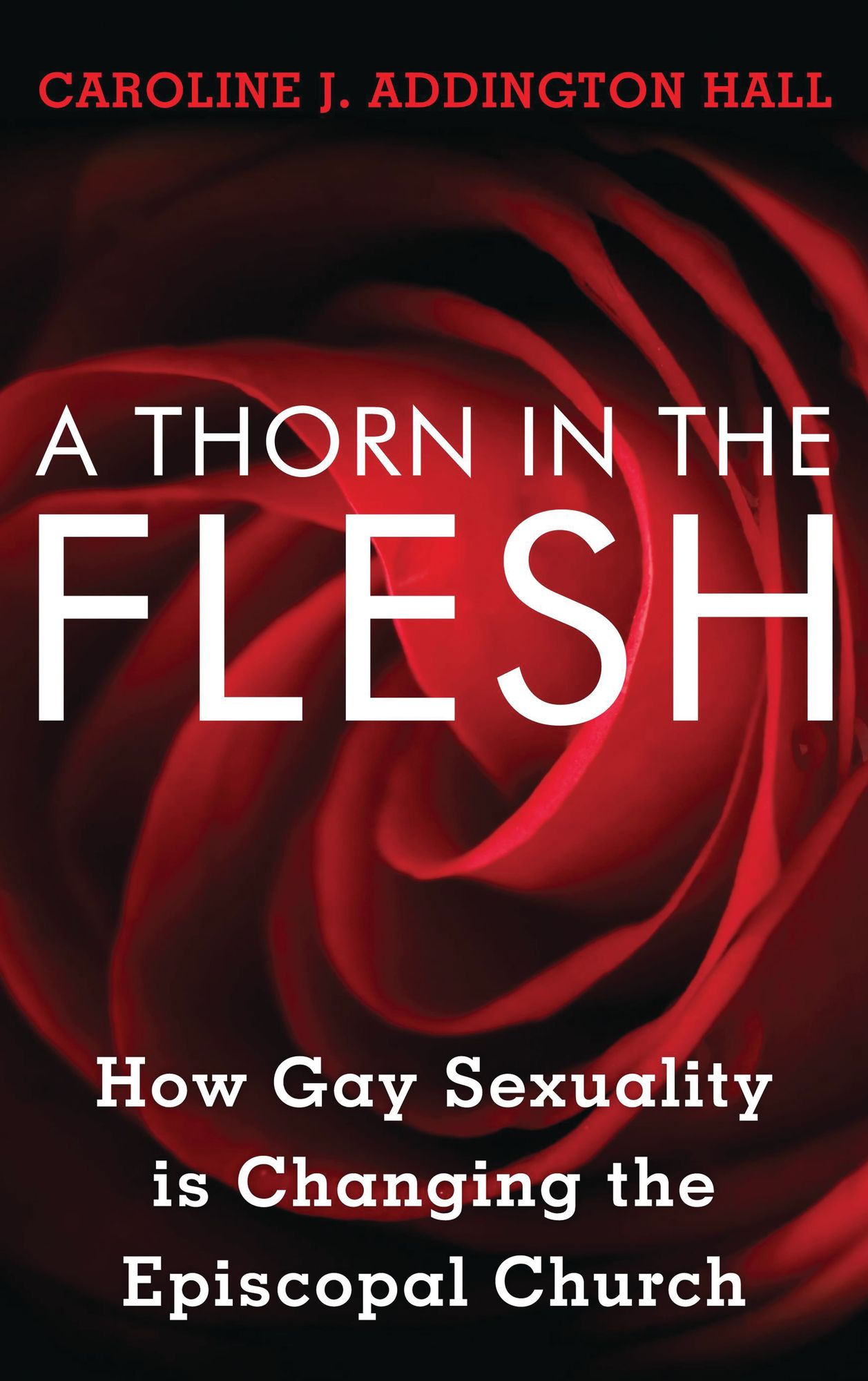 A Thorn in the Flesh: How Gay Sexuality is Changing the Episcopal Church