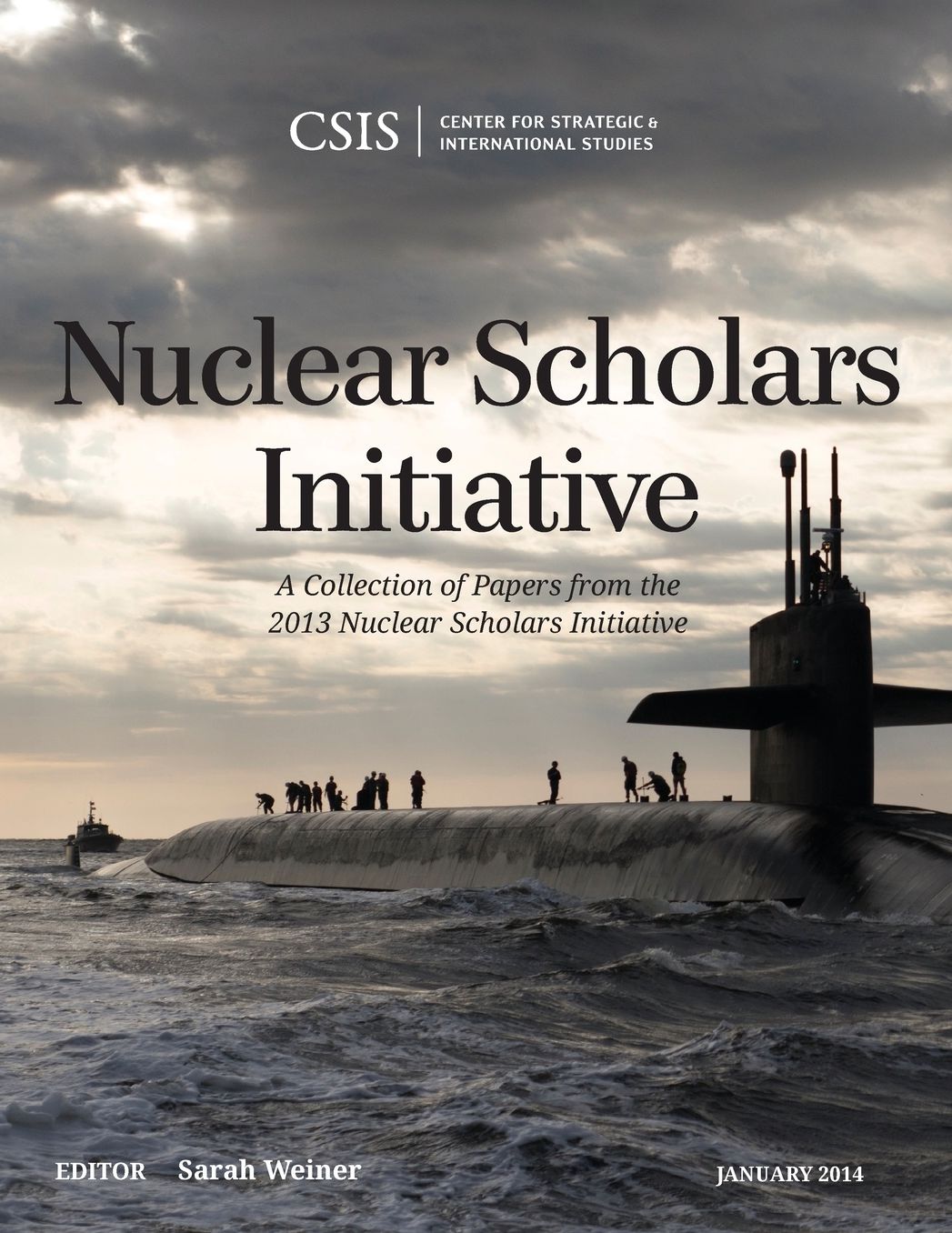 Nuclear Scholars Initiative: A Collection of Papers from the 2013 Nuclear Scholars Initiative