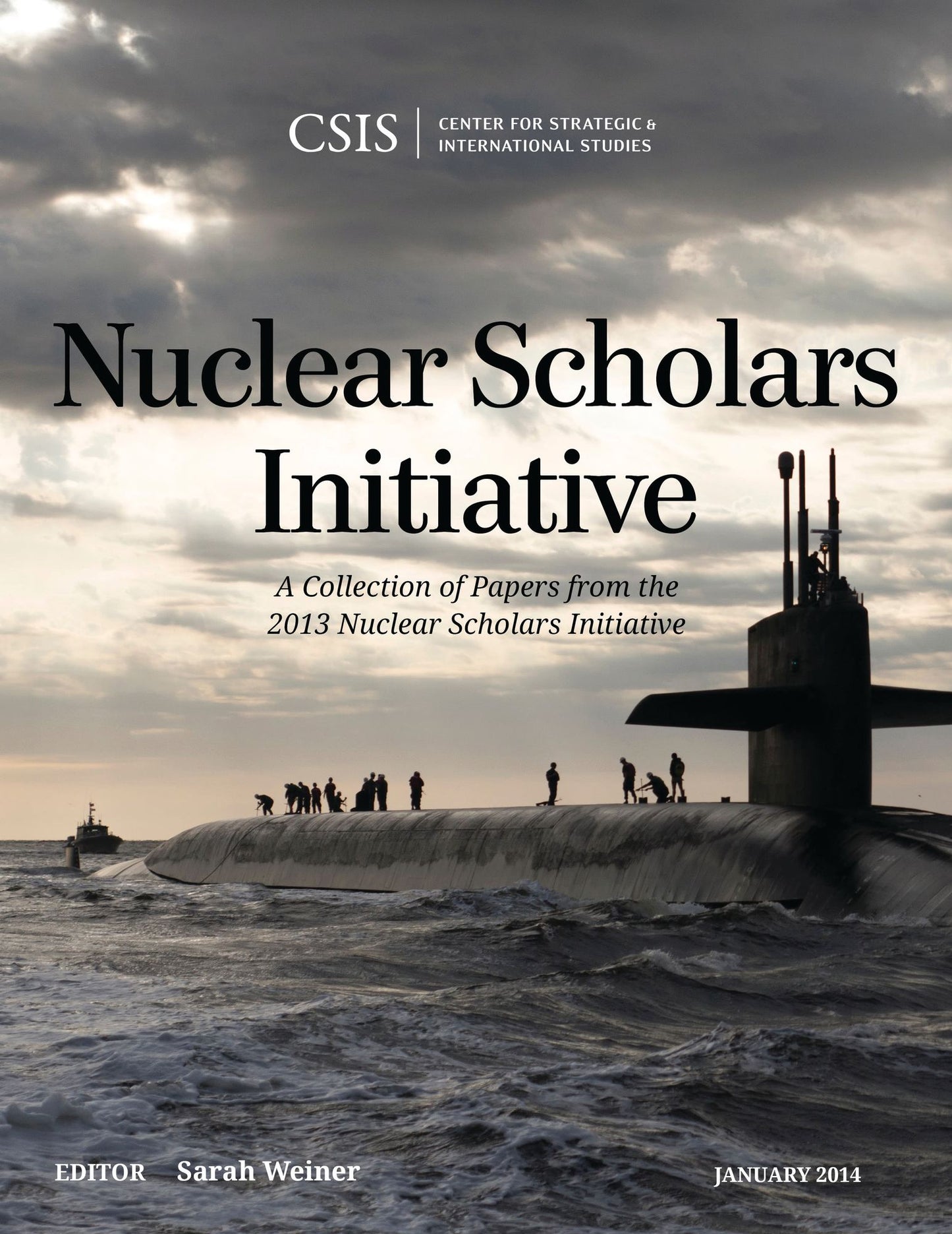 Nuclear Scholars Initiative: A Collection of Papers from the 2013 Nuclear Scholars Initiative