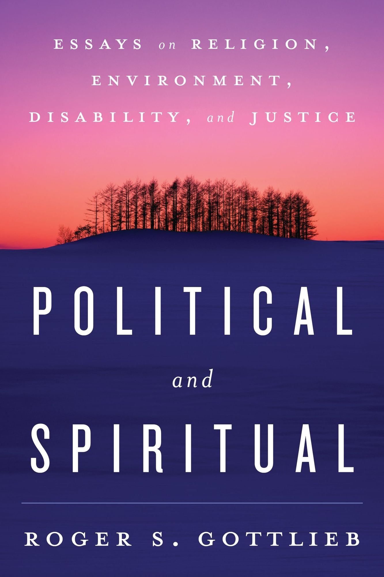 Political and Spiritual: Essays on Religion, Environment, Disability, and Justice