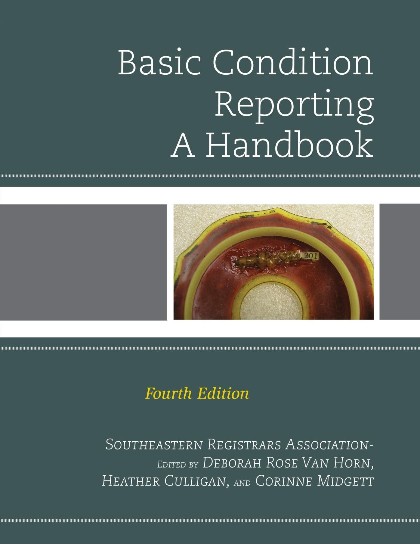 Basic Condition Reporting: A Handbook