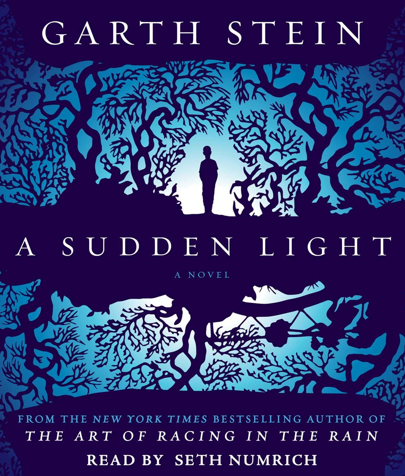 A Sudden Light