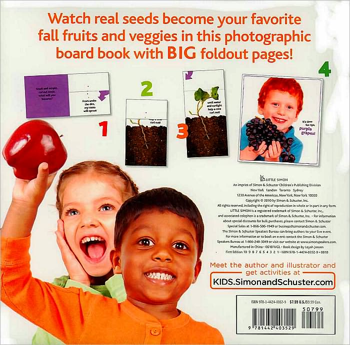 It's Harvest Time!: A Book with Foldout Pages