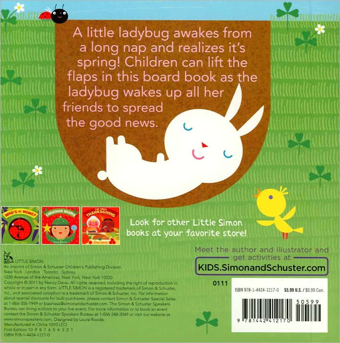 Wake Up! Wake Up!: A Springtime Lift-the-Flap Book