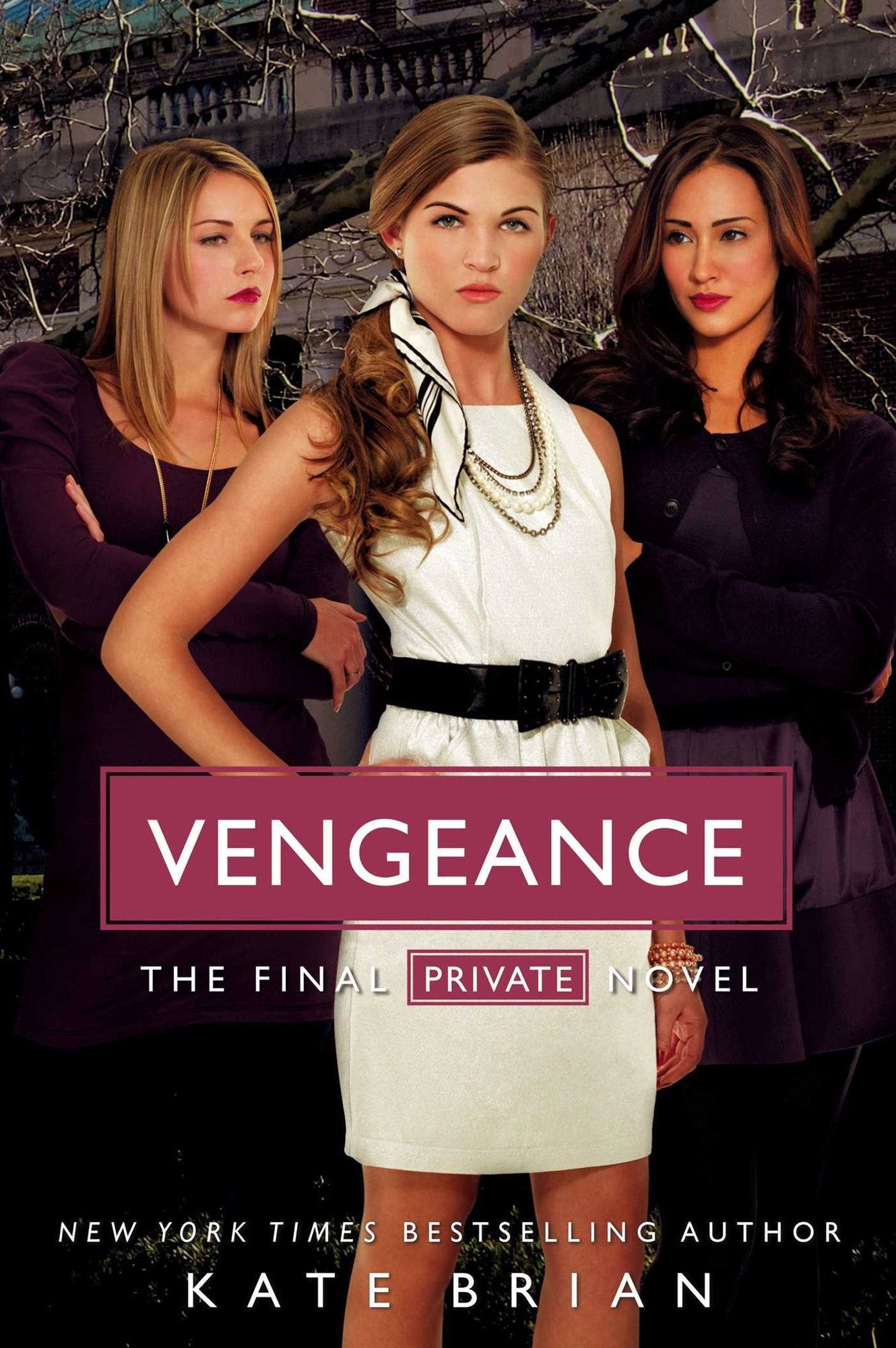 Vengeance (Private Series #14)