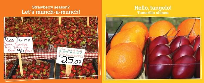 Go, Go, Grapes!: A Fruit Chant