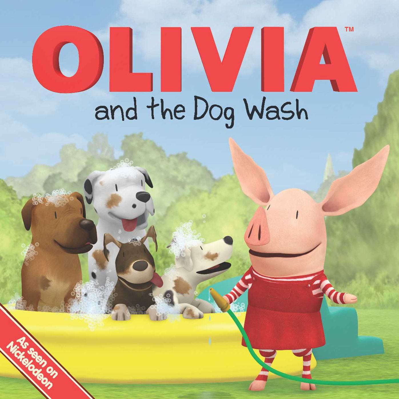 Olivia and the Dog Wash