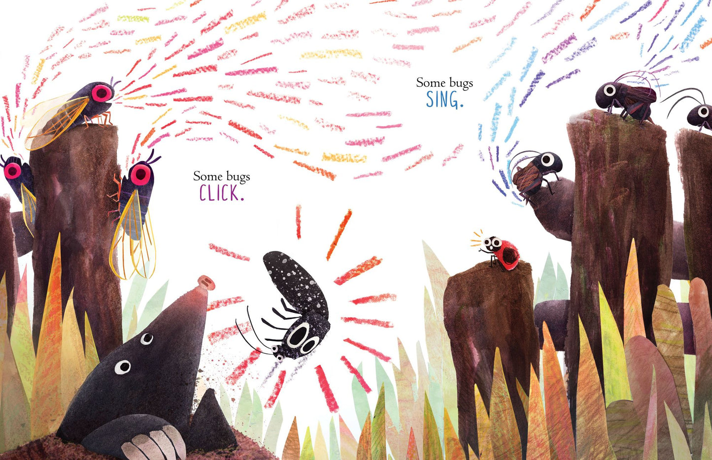 Some Bugs