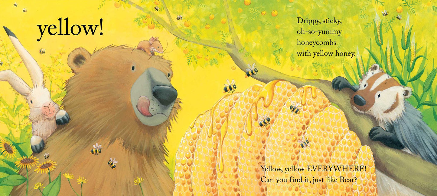 Bear Sees Colors