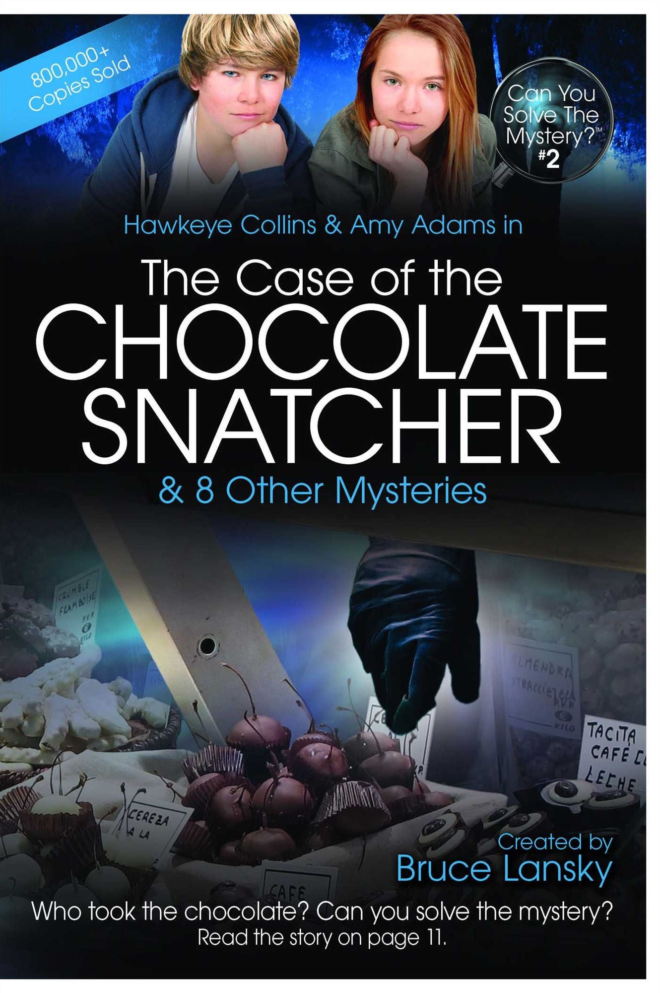 The Case of the Chocolate Snatcher: Can You Solve the Mystery #2
