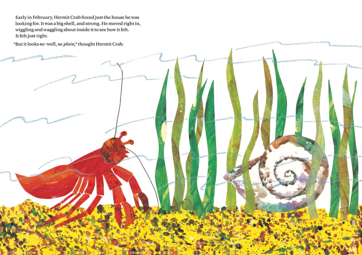 A House for Hermit Crab