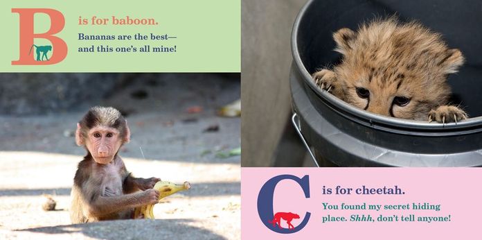 ABC ZooBorns!