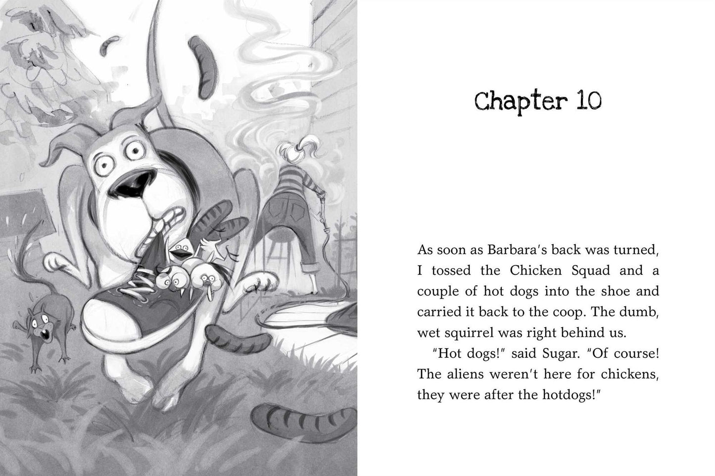 The Chicken Squad: The First Misadventure (Chicken Squad Series #1)