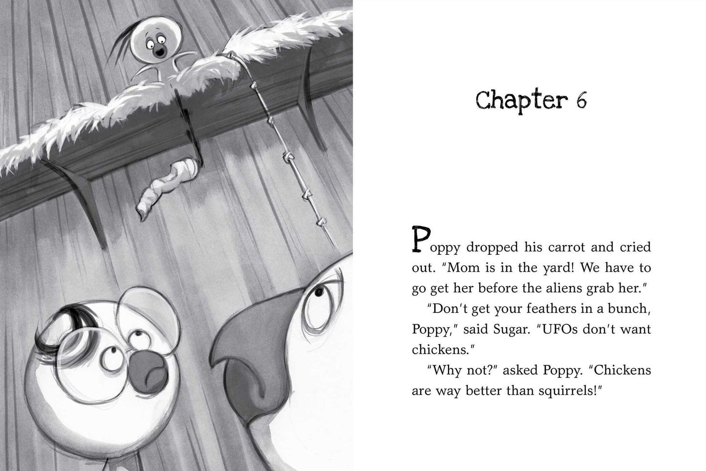 The Chicken Squad: The First Misadventure (Chicken Squad Series #1)