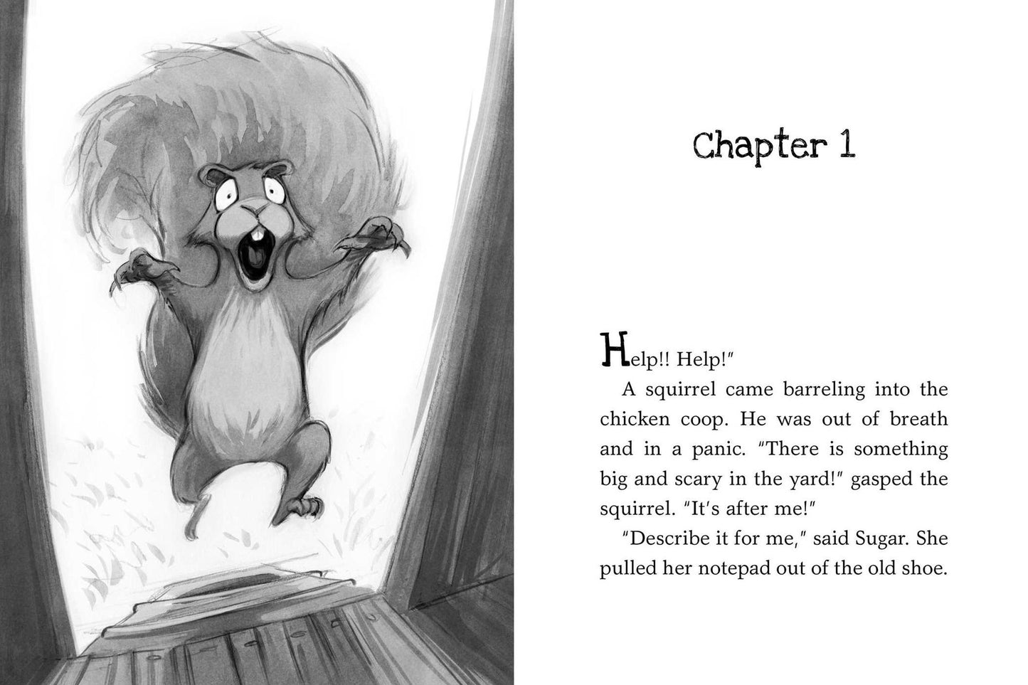 The Chicken Squad: The First Misadventure (Chicken Squad Series #1)