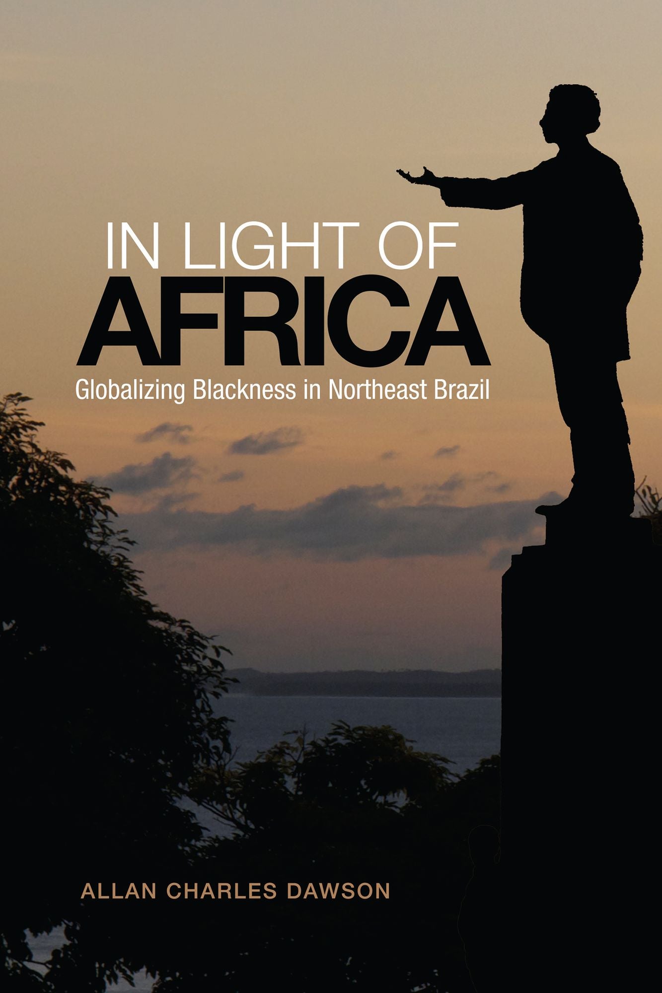 Light of Africa: Globalizing Blackness in Northeast Brazil