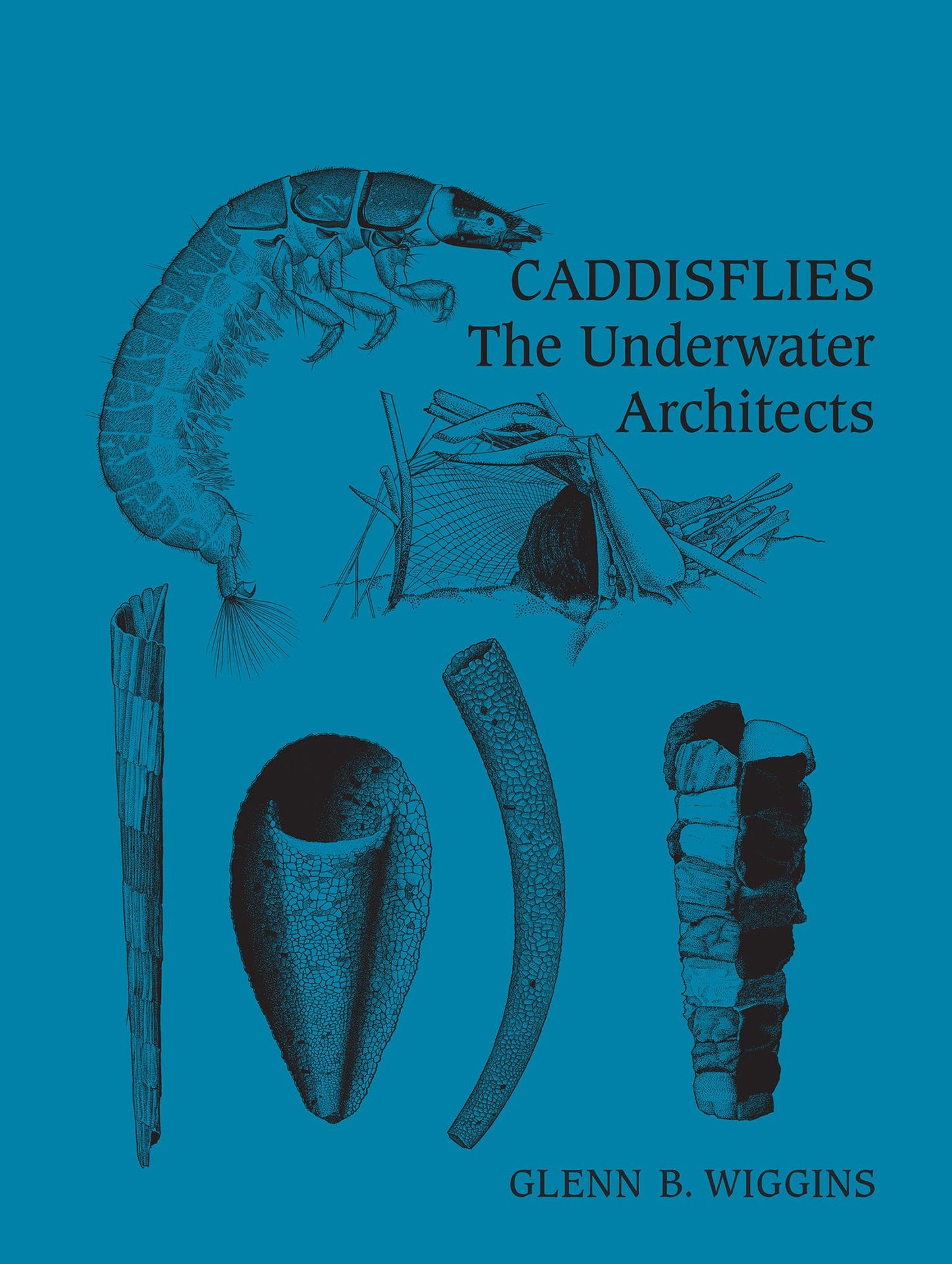 Caddisflies: The Underwater Architects