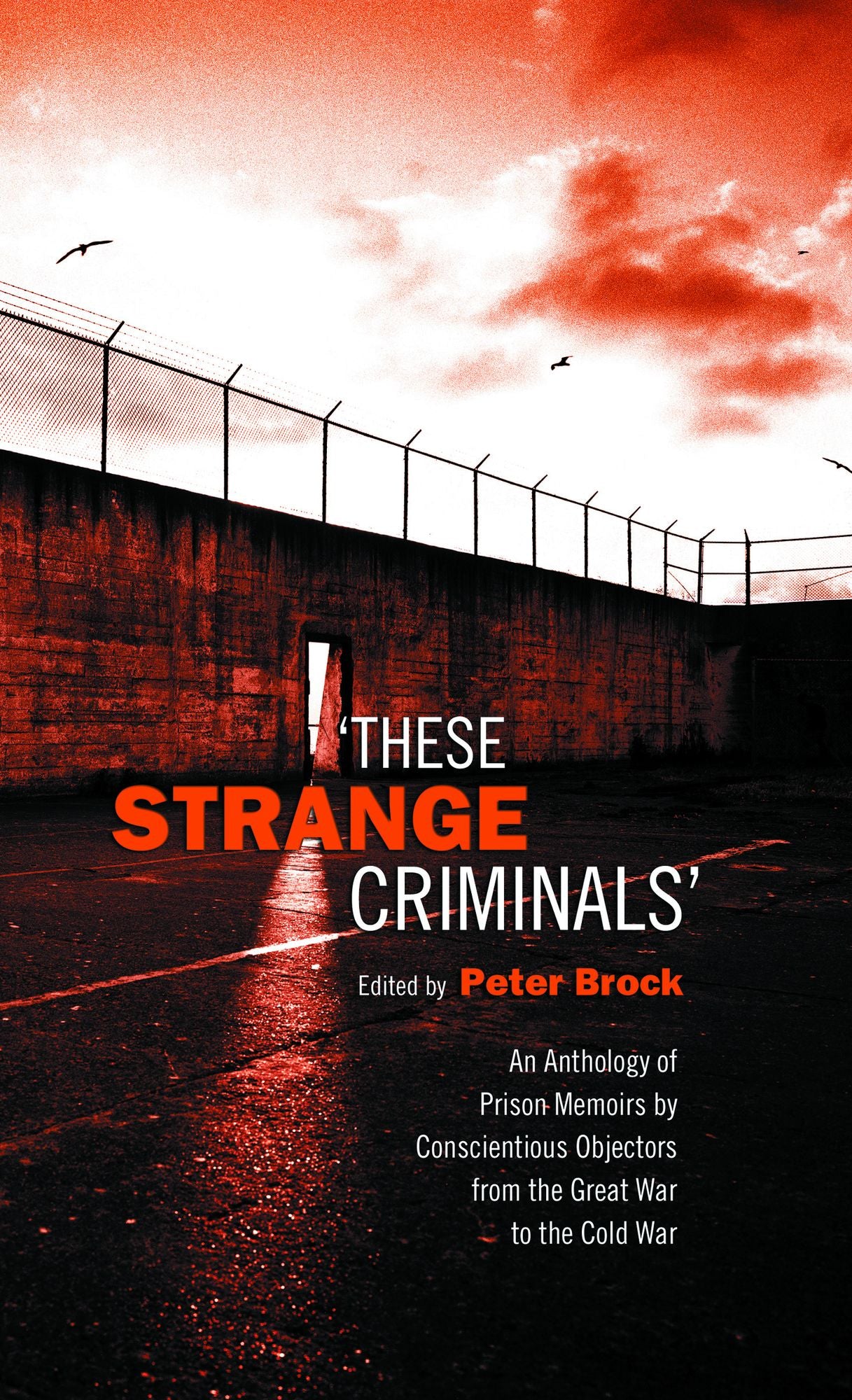 These Strange Criminals: An Anthology of Prison Memoirs by Conscientious Objectors from the Great War to the Cold War