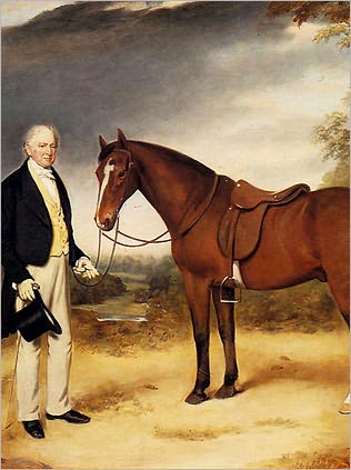 Strider: The Story of a Horse