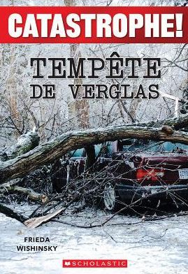 Catastrophe! Tempete de Verglas
