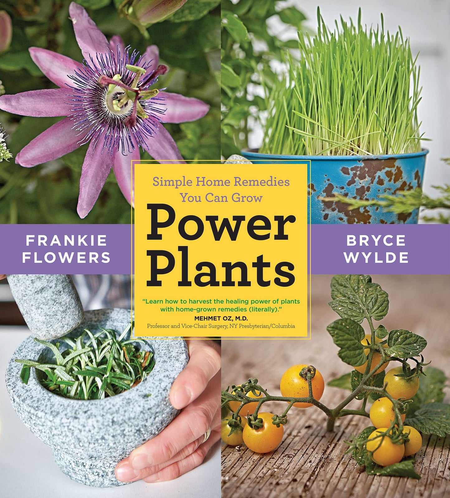 Power Plants: Simple Home Remedies You Can Grow