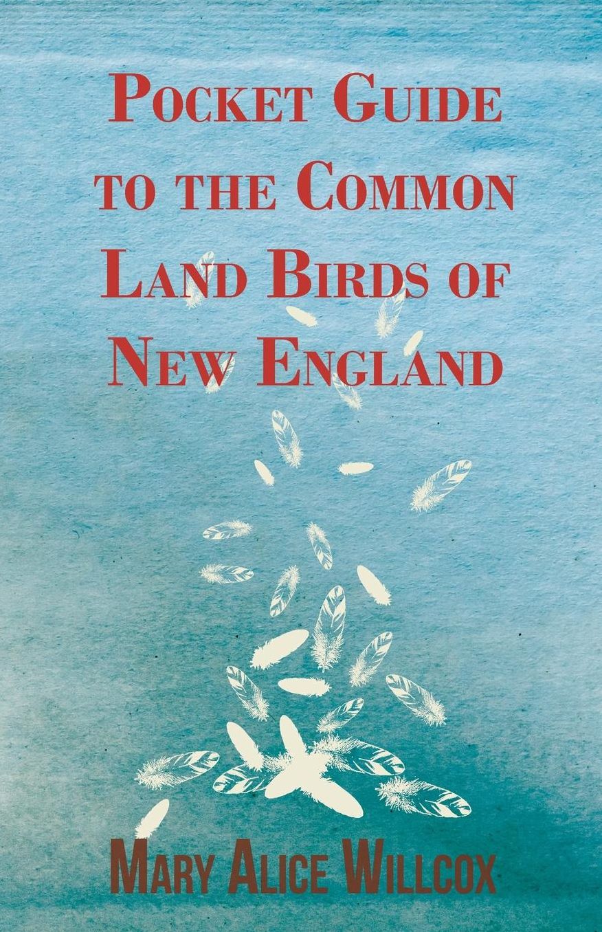 Pocket Guide To The Common Land Birds Of New England