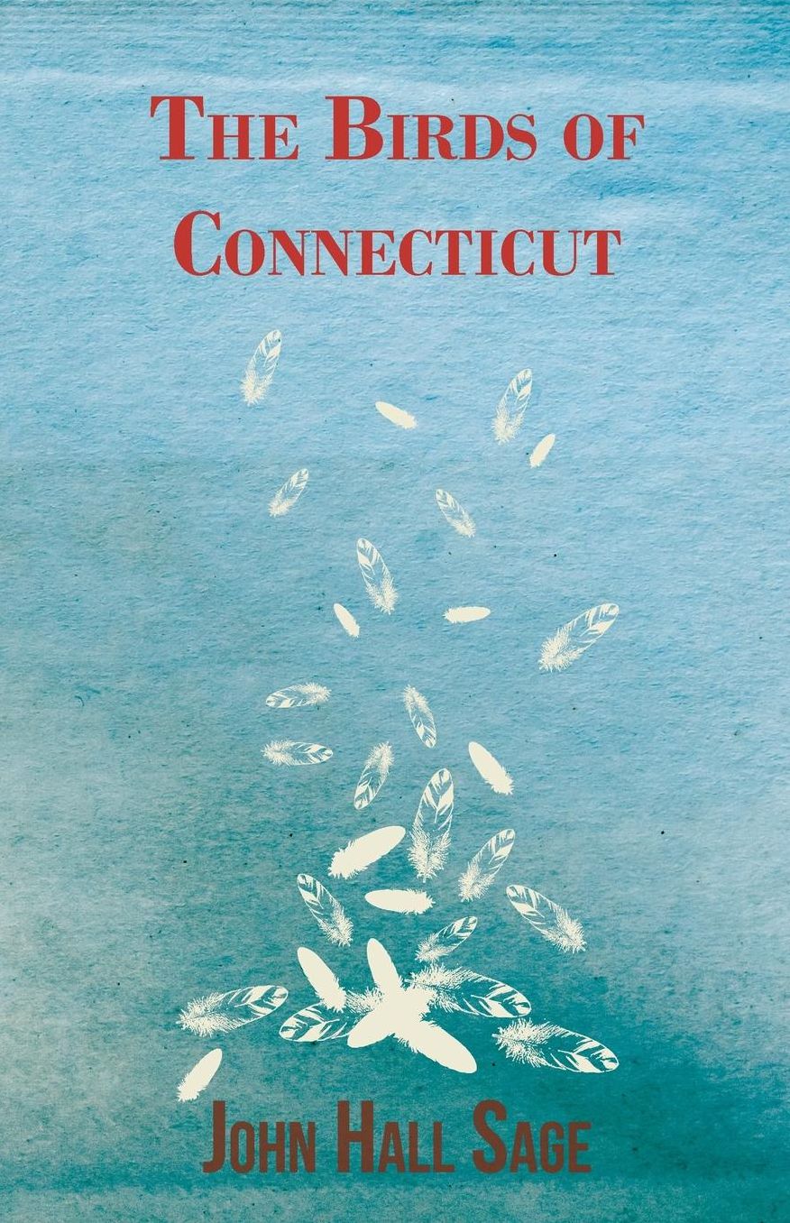 The Birds Of Connecticut