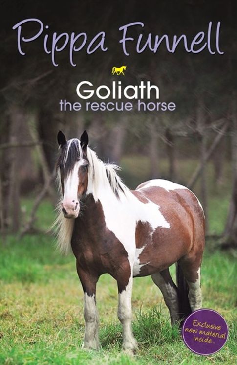 Goliath: The Rescue Horse