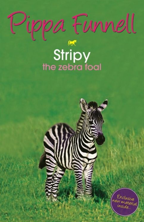 Stripy: The Zebra Foal