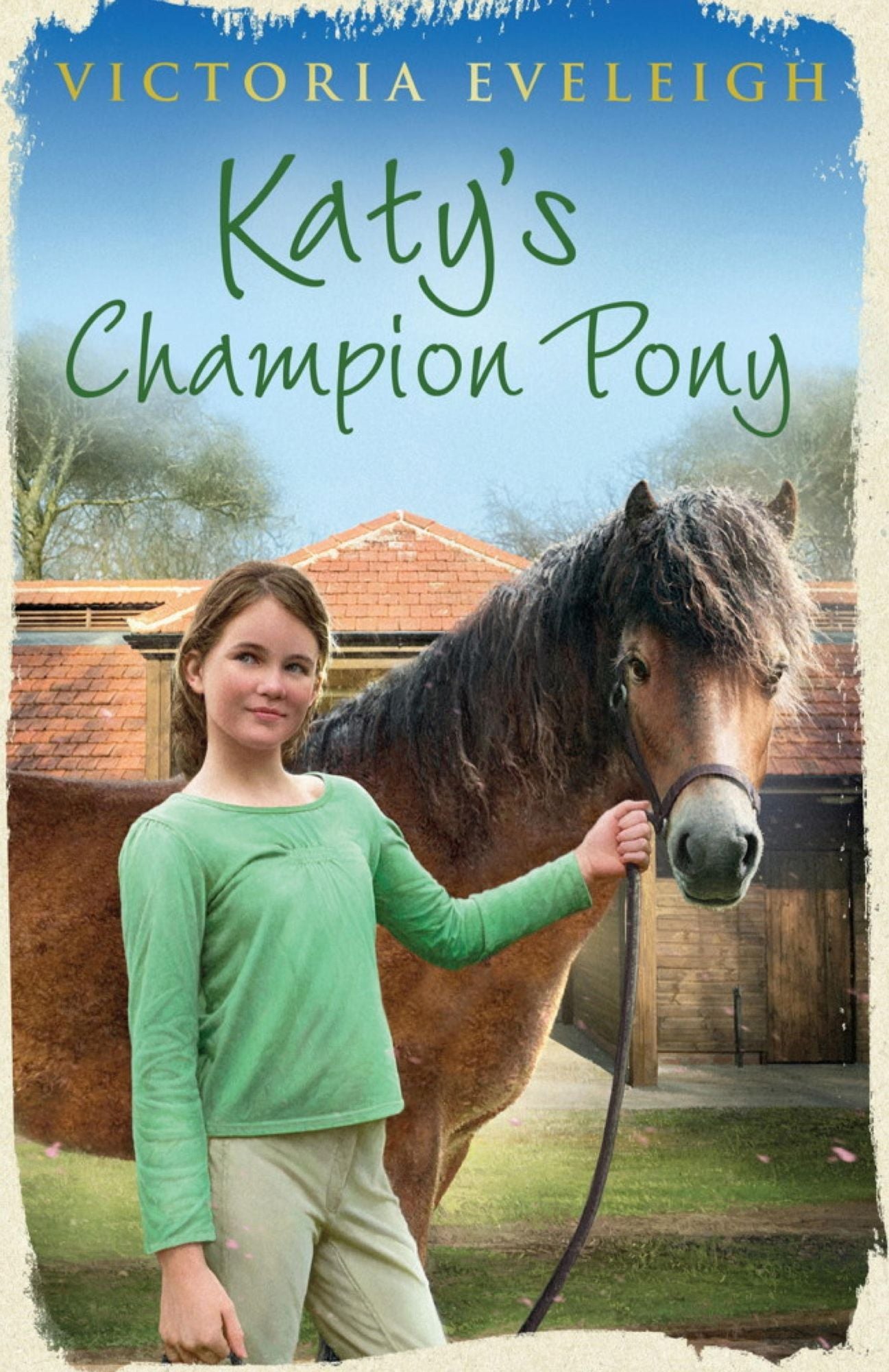 Katy's Champion Pony: Book 2