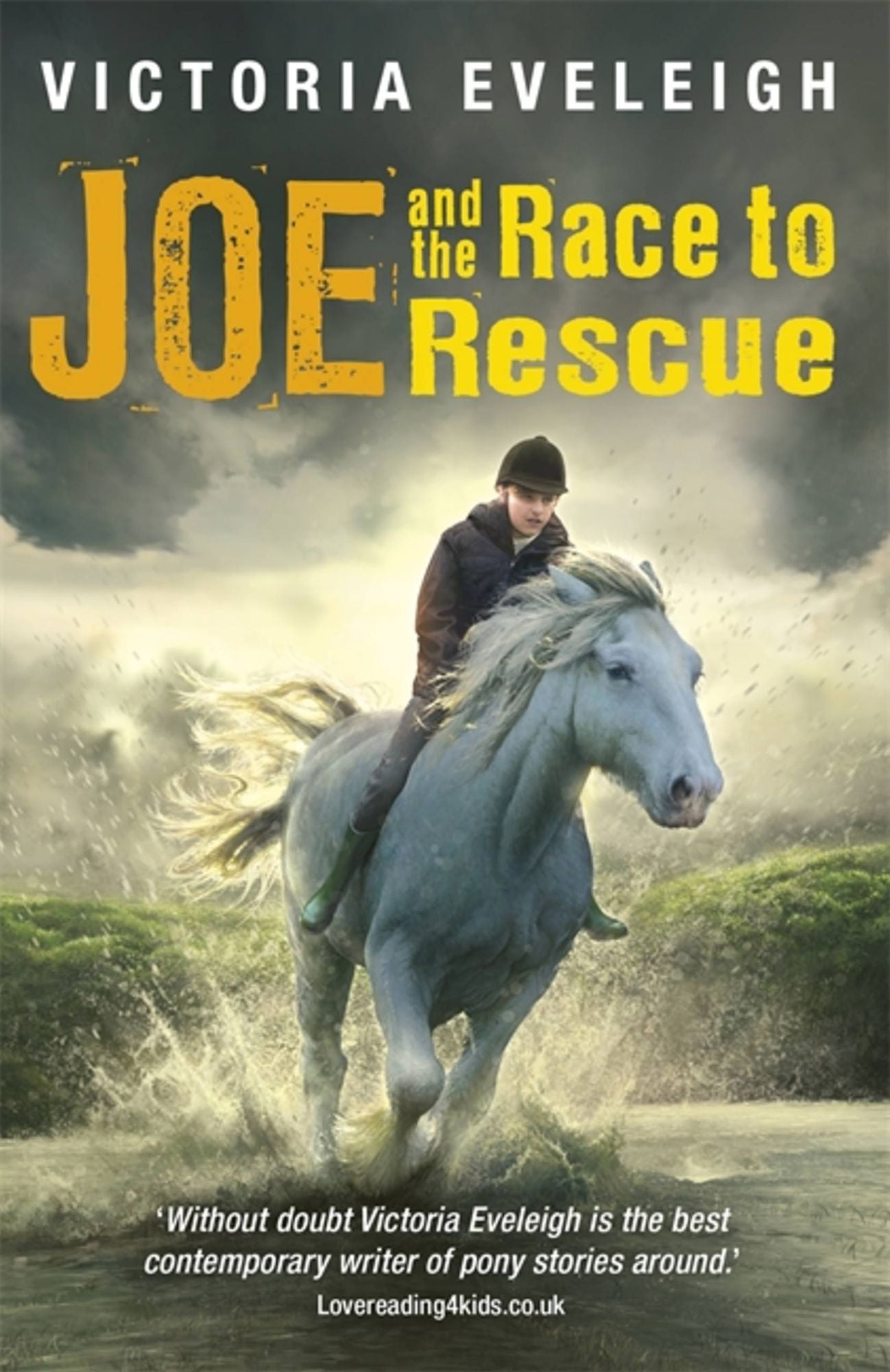 Joe And The Race To Rescue: A boy and his horses