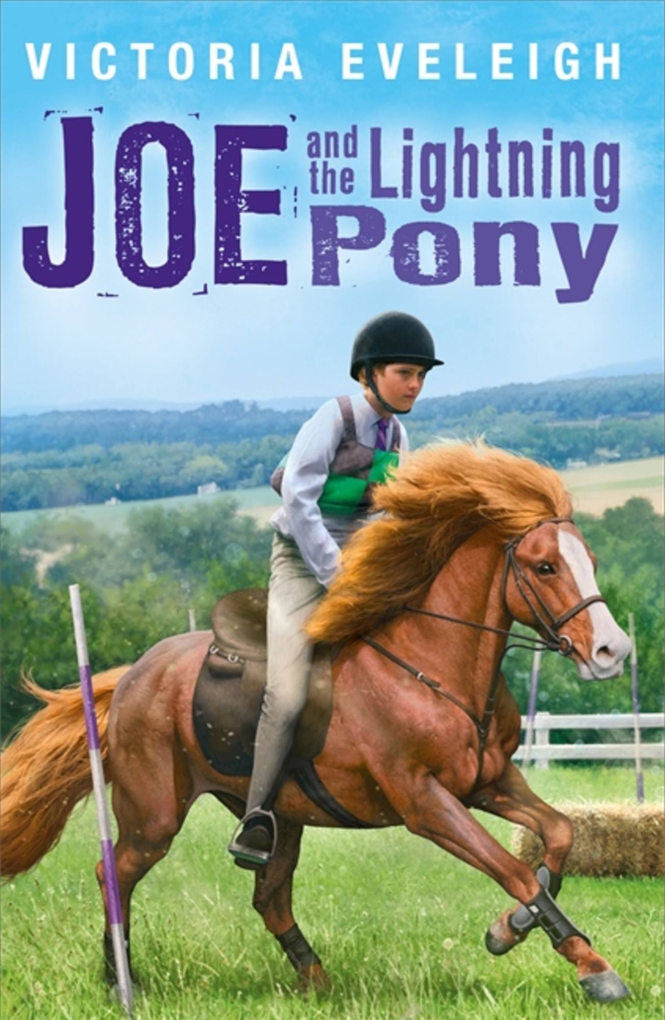 Joe and the Lightning Pony: A boy and his horses, Book 2