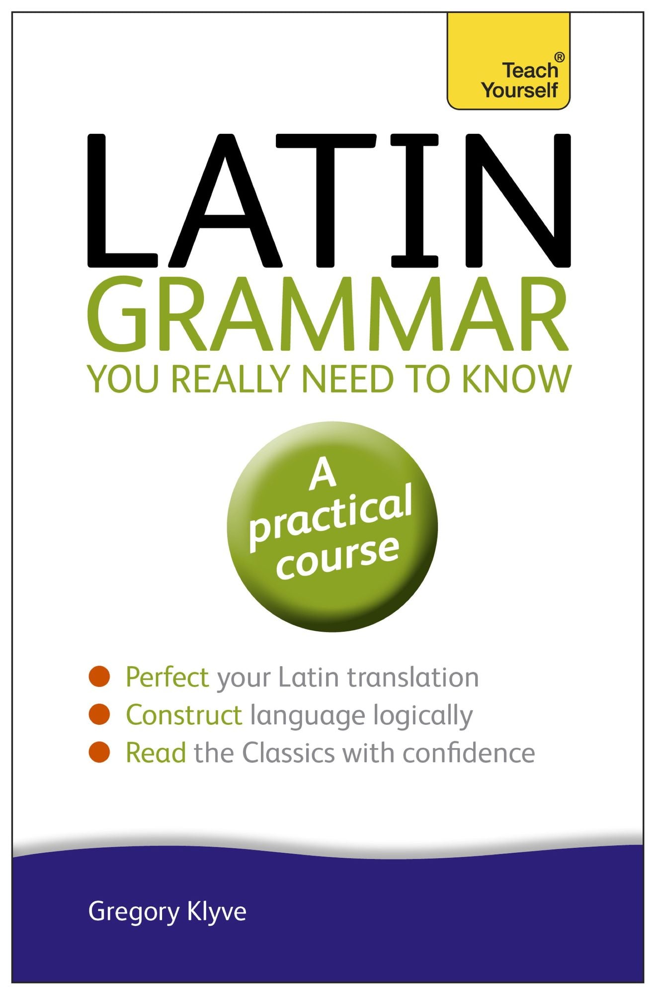 Latin Grammar You Really Need to Know: Teach Yourself