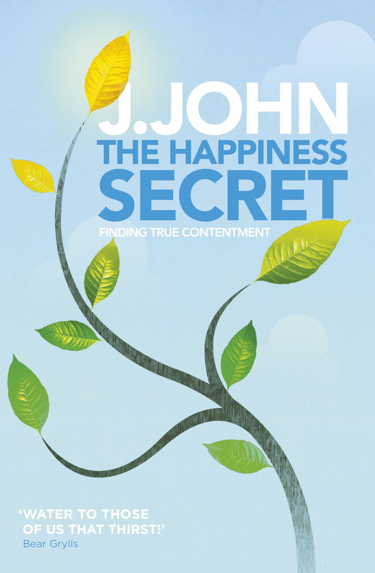 The Happiness Secret: Finding True Contentment