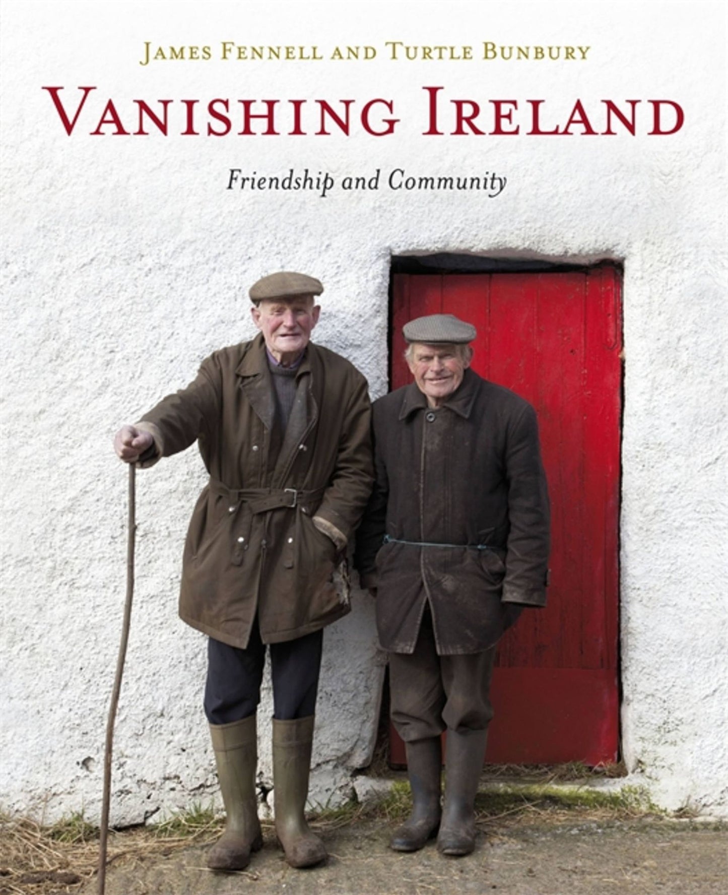 Vanishing Ireland: Volume 4