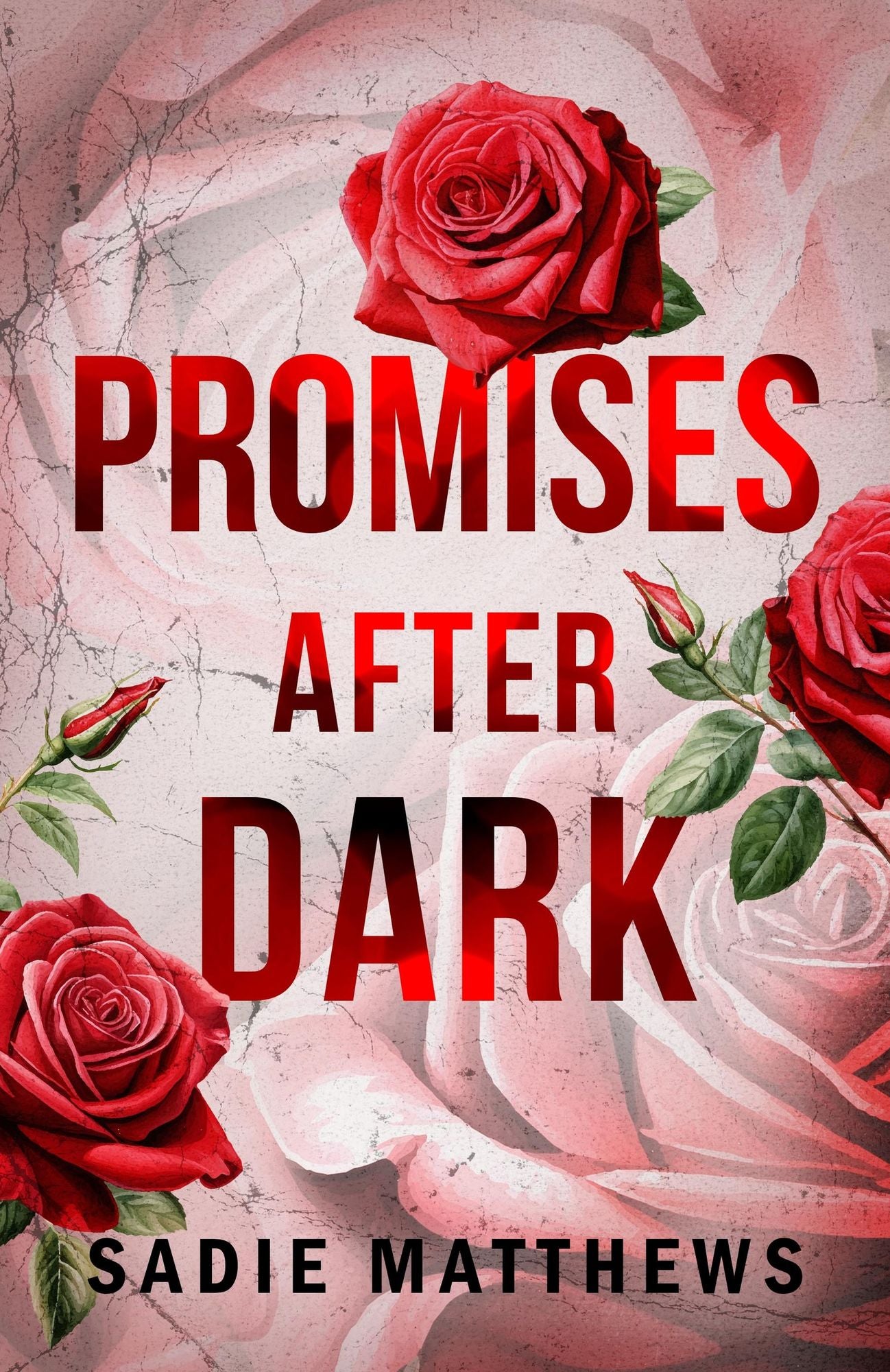 Promises After Dark: After Dark Book Three