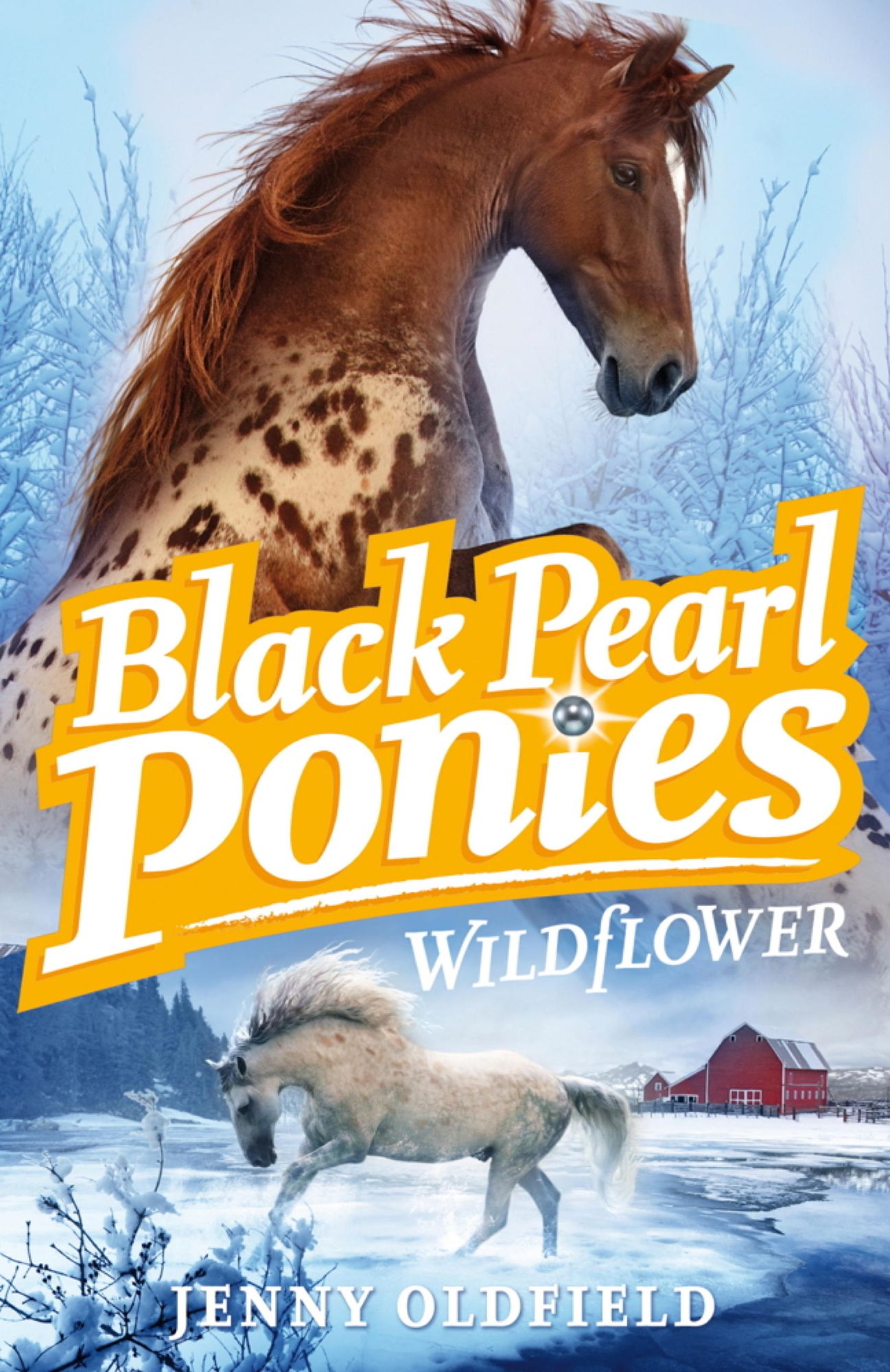 Black Pearl Ponies: Wildflower: Book 2