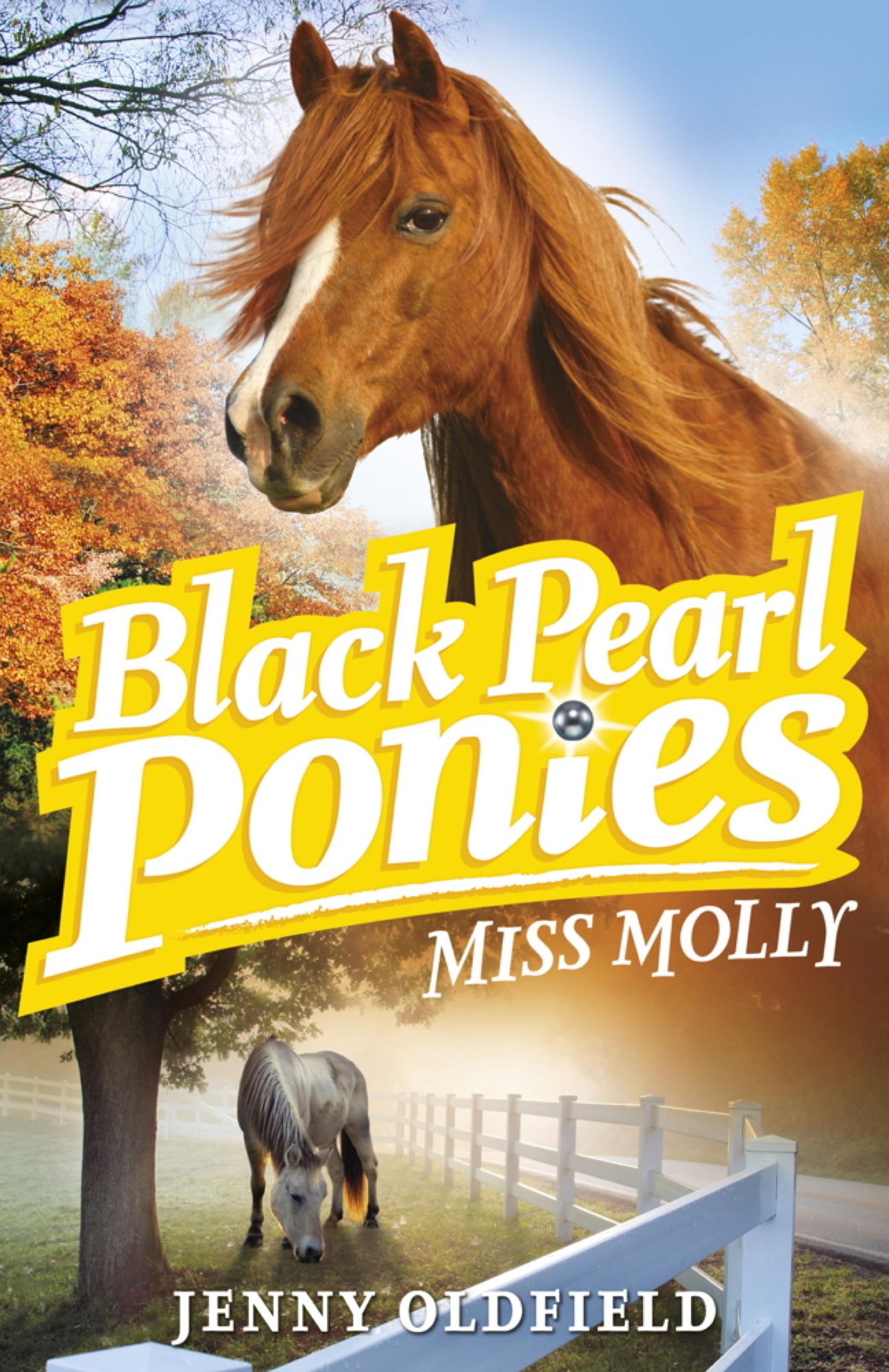 Black Pearl Ponies 3: Miss Molly